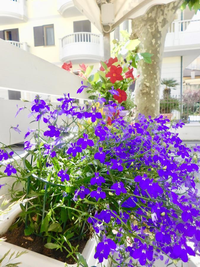 Hotel Dolores Rimini Exteriör bild